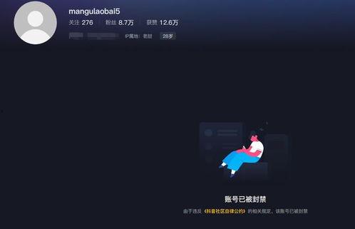 曼谷老白爆料视频大全集,揭秘泰国首都的传奇故事与幕后真相