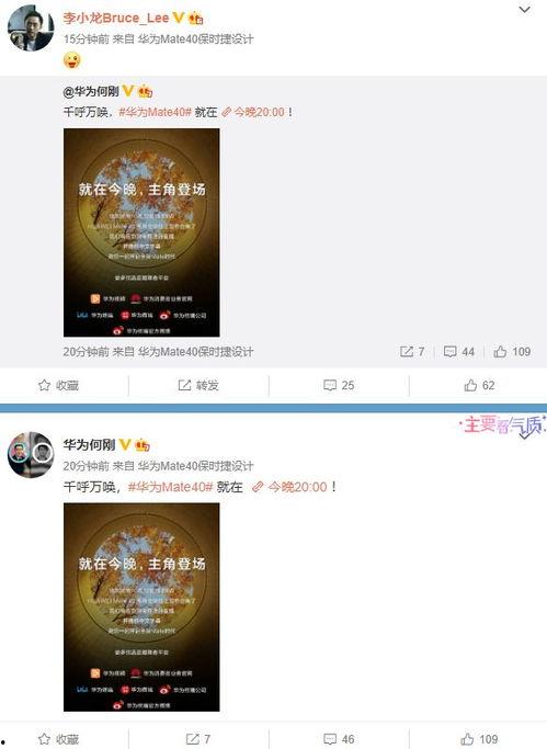 供地爆料视频大全最新,视频大全深度解析