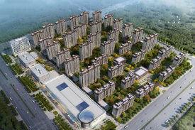 金辰御府最新爆料