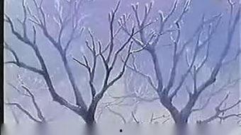 艳魂勾降在线观看