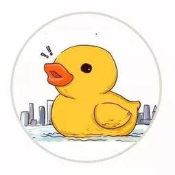 小黄鸭最新爆料,揭秘娱乐圈幕后真相