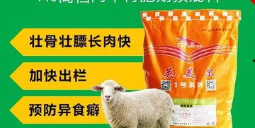 育肥羊爆料视频最新网站