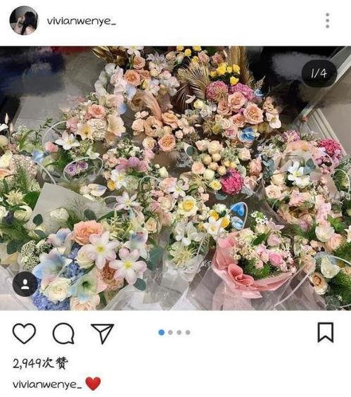 娱乐圈爆料王文也,揭秘娱乐圈背后的秘密与真相