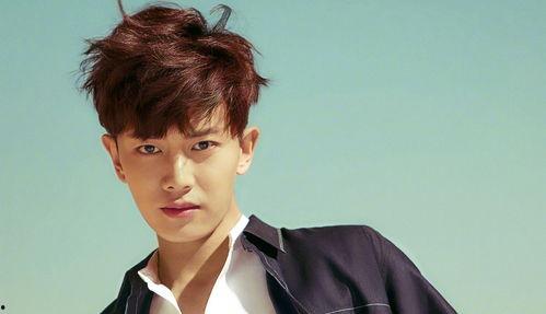 刘大锤任嘉伦爆料视频播放,揭秘娱乐圈幕后真相