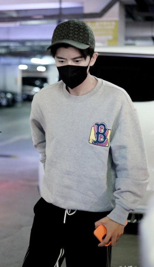 刘大锤任嘉伦爆料视频播放,揭秘娱乐圈幕后真相