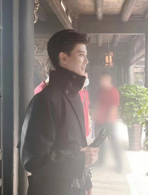 刘大锤任嘉伦爆料视频播放,揭秘娱乐圈幕后真相