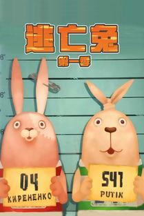 兔子在线观看,兔子在线观看，解锁无限欢乐时光