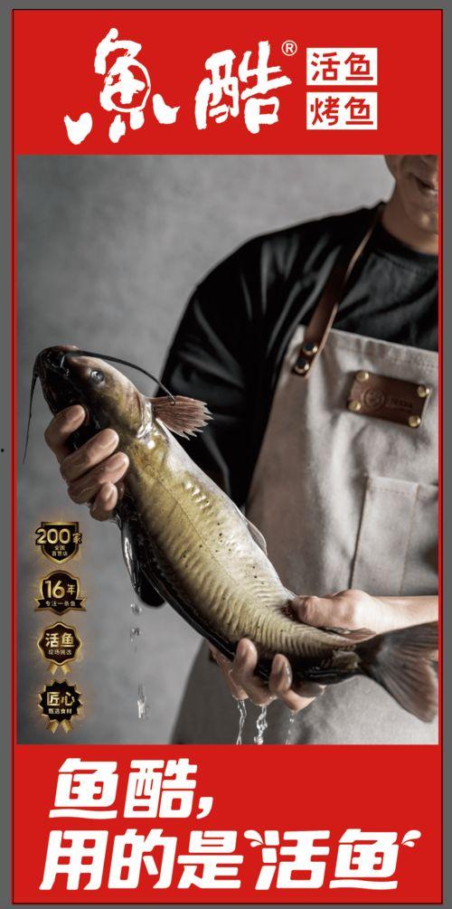 fil神鱼喊单最新爆料