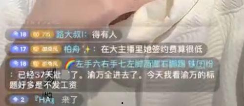 冷风爆料小团团视频,小团团视频揭秘幕后故事